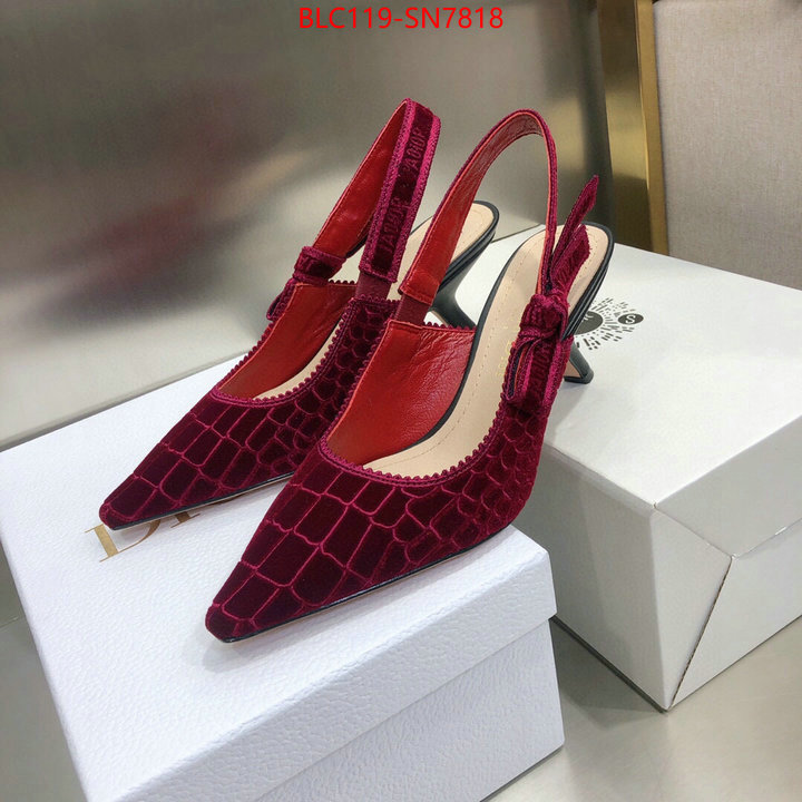 Women Shoes-Dior,aaaaa+ quality replica , ID: SN7818,$: 119USD