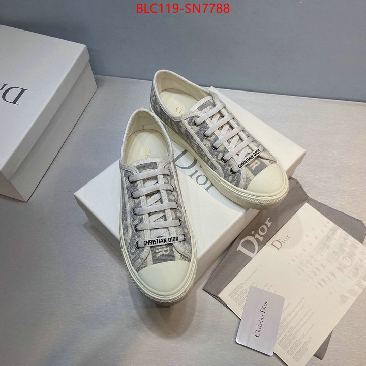 Women Shoes-Dior,buy cheap , ID: SN7788,$: 119USD