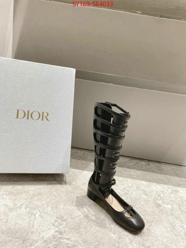 Women Shoes-Dior,top quality replica , ID: SE4033,$: 169USD