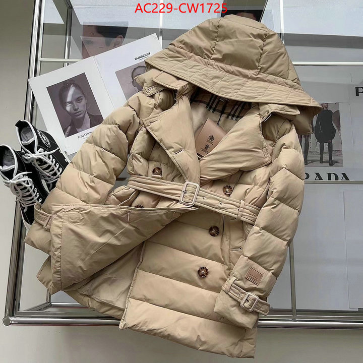 Down jacket Women-Burberry,how to start selling replica , ID: CW1725,$: 229USD