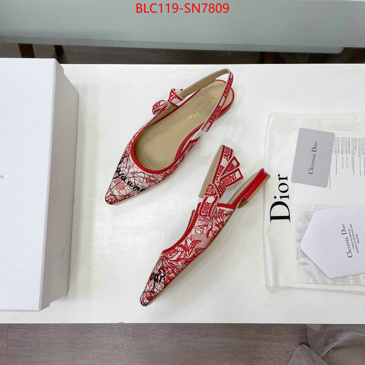 Women Shoes-Dior,designer wholesale replica , ID: SN7809,$: 119USD