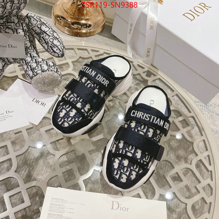 Women Shoes-Dior,designer , ID: SN9388,$: 119USD