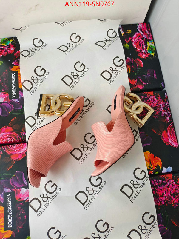 Women Shoes-DG,what's the best to buy replica , ID: SN9767,$: 119USD