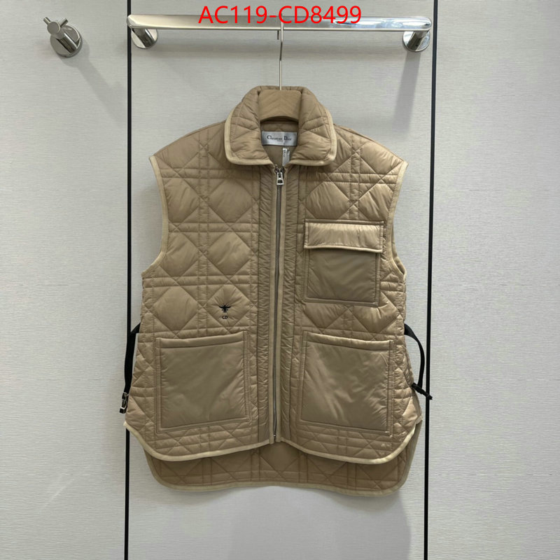 Down jacket Women-Dior,china sale , ID: CD8499,$: 119USD