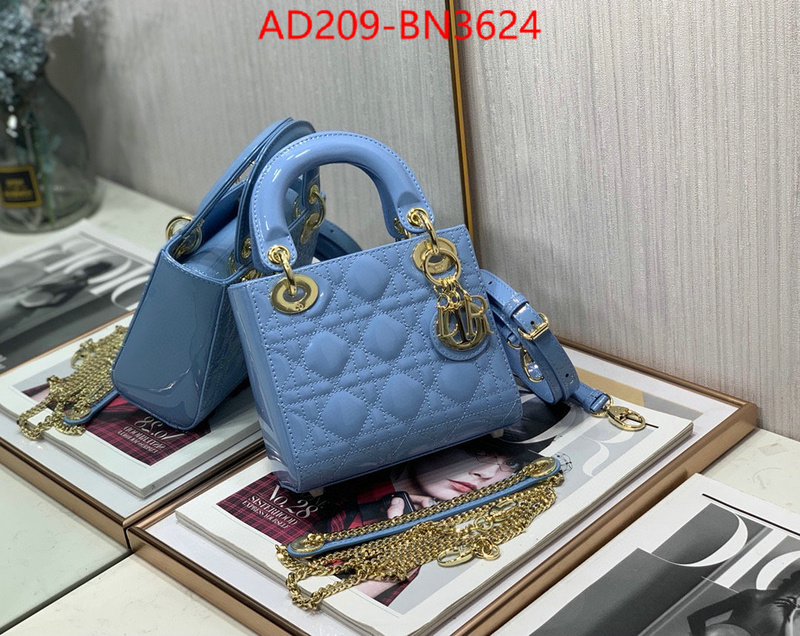 Dior Bags(TOP)-Lady-,ID: BN3624,$: 209USD