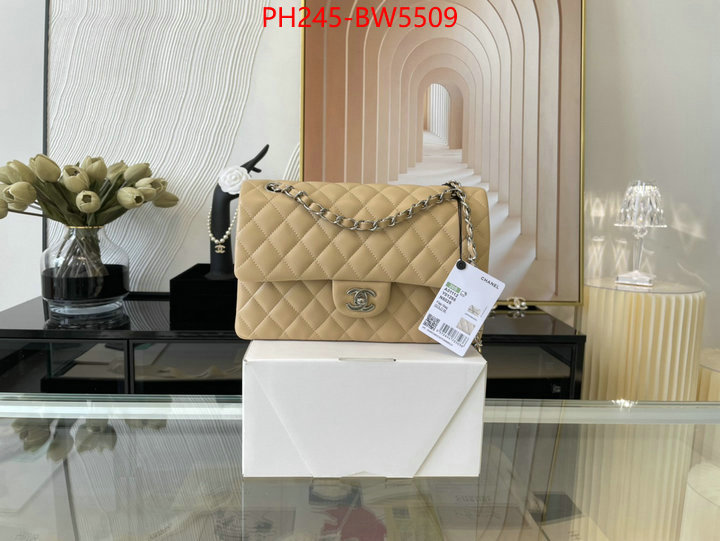 Chanel Bags(TOP)-Diagonal-,ID: BW5509,$: 245USD