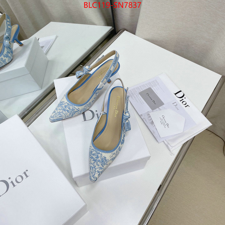 Women Shoes-Dior,replicas , ID: SN7837,$: 119USD