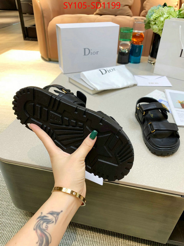 Women Shoes-Dior,online from china designer , ID: SD1199,$: 105USD