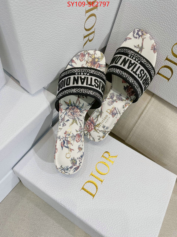 Women Shoes-Dior,shop the best high authentic quality replica , ID: SE2797,$: 109USD