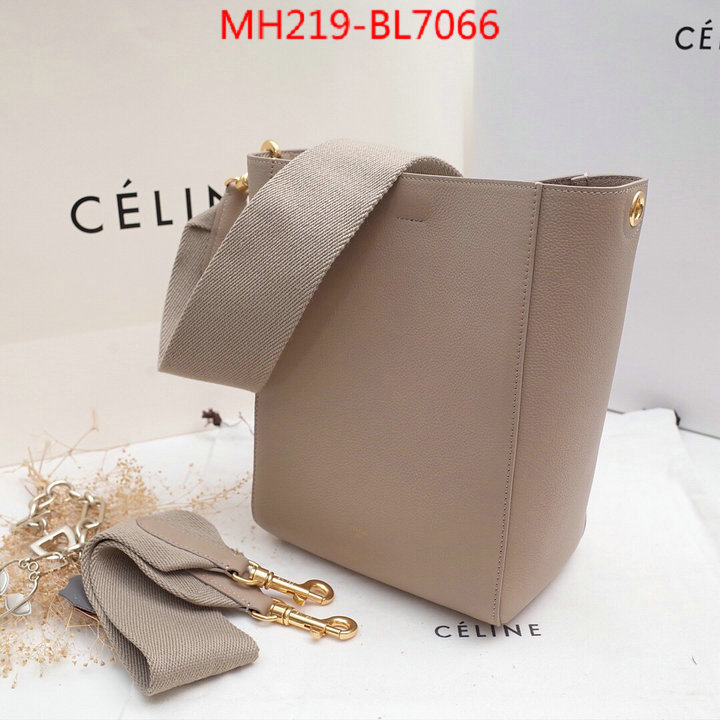 CELINE Bags(TOP)-Diagonal,highest quality replica ,ID: BL7066,$: 219USD