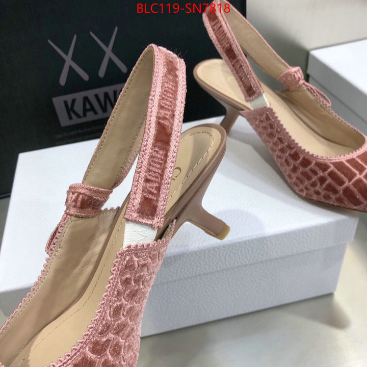 Women Shoes-Dior,aaaaa+ quality replica , ID: SN7818,$: 119USD