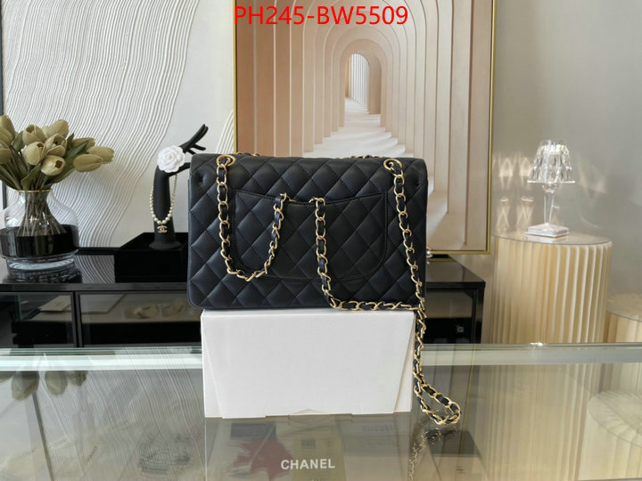 Chanel Bags(TOP)-Diagonal-,ID: BW5509,$: 245USD