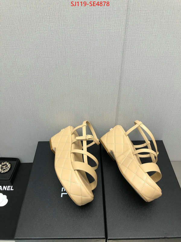 Women Shoes-Chanel,quality replica , ID: SE4878,$: 119USD