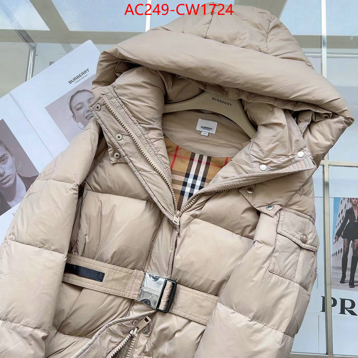 Down jacket Women-Burberry,the best quality replica , ID: CW1724,$: 249USD