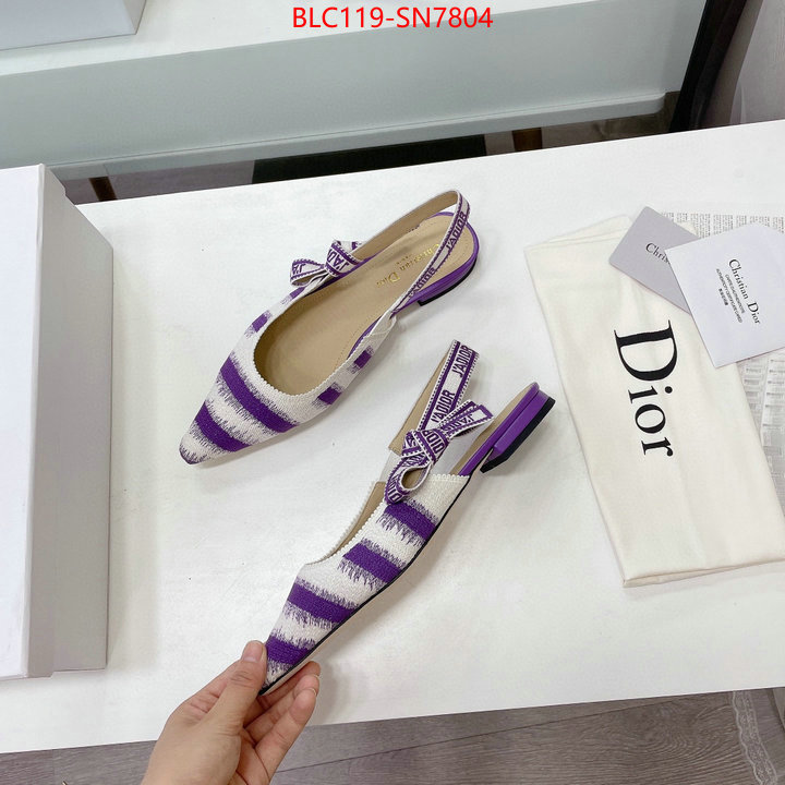 Women Shoes-Dior,wholesale designer shop , ID: SN7804,$: 119USD