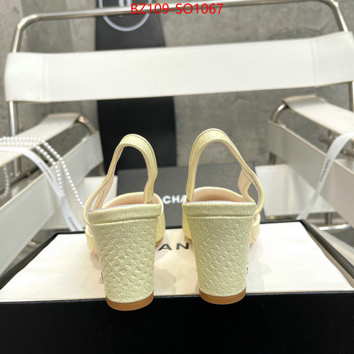 Women Shoes-Chanel,brand designer replica , ID: SO1067,$: 109USD