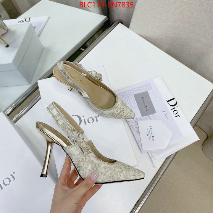 Women Shoes-Dior,styles & where to buy , ID: SN7835,$: 119USD