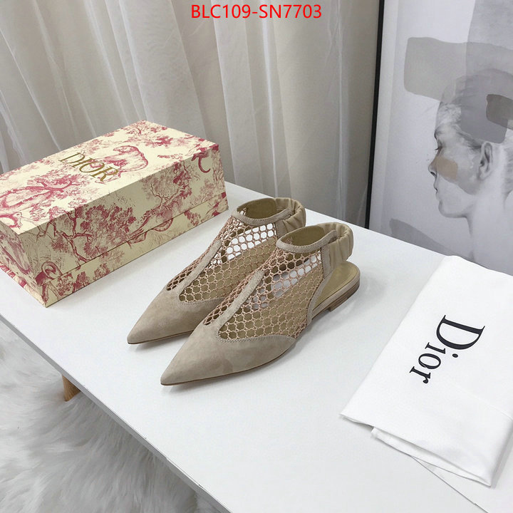 Women Shoes-Dior,what are the best replica , ID: SN7703,$: 109USD