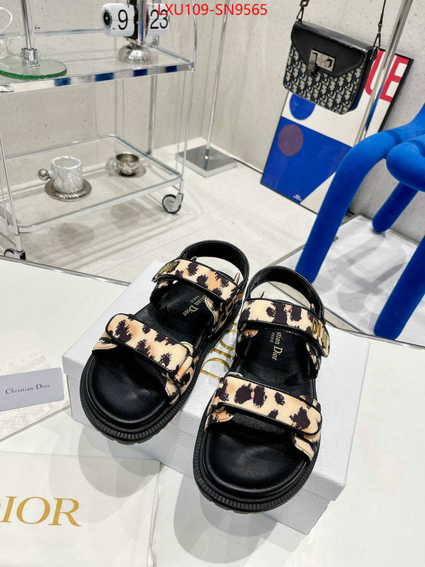 Women Shoes-Dior,perfect quality designer replica , ID: SN9565,$: 109USD