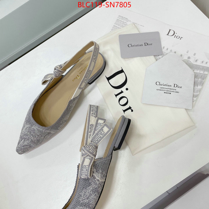 Women Shoes-Dior,the top ultimate knockoff , ID: SN7805,$: 119USD