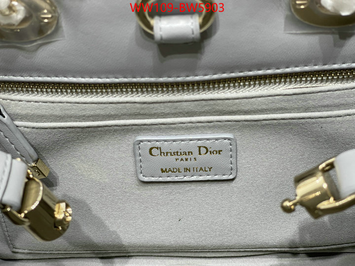 Dior Bags(4A)-Other Style-,ID: BW5903,$: 109USD