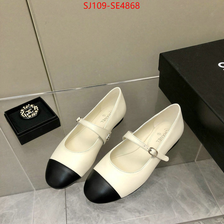 Women Shoes-Chanel,only sell high-quality , ID: SE4868,$: 109USD