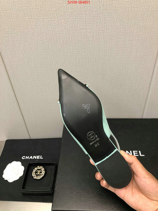 Women Shoes-Chanel,can you buy knockoff , ID: SE4851,$: 109USD