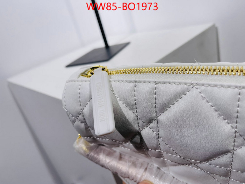 Dior Bags(4A)-Other Style-,ID: BO1973,$: 85USD