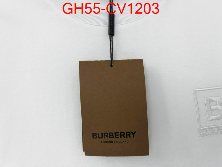 Clothing-Burberry,where can i buy the best 1:1 original , ID: CV1203,$: 55USD