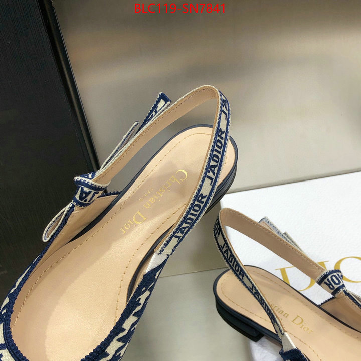 Women Shoes-Dior,outlet 1:1 replica , ID: SN7841,$: 119USD