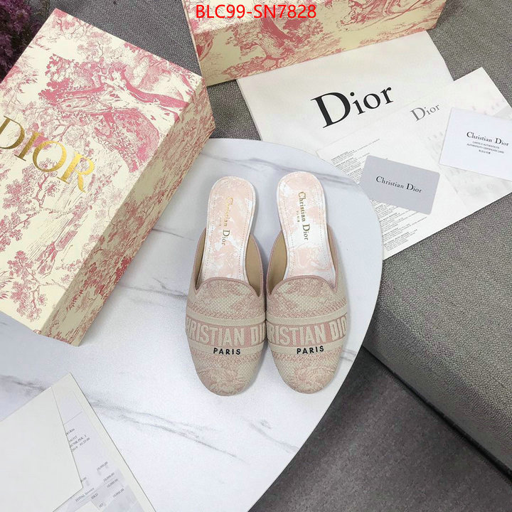 Women Shoes-Dior,1:1 replica wholesale , ID: SN7828,$: 99USD