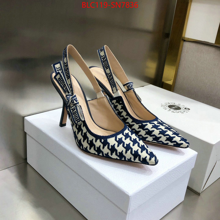 Women Shoes-Dior,what's the best to buy replica , ID: SN7836,$: 119USD