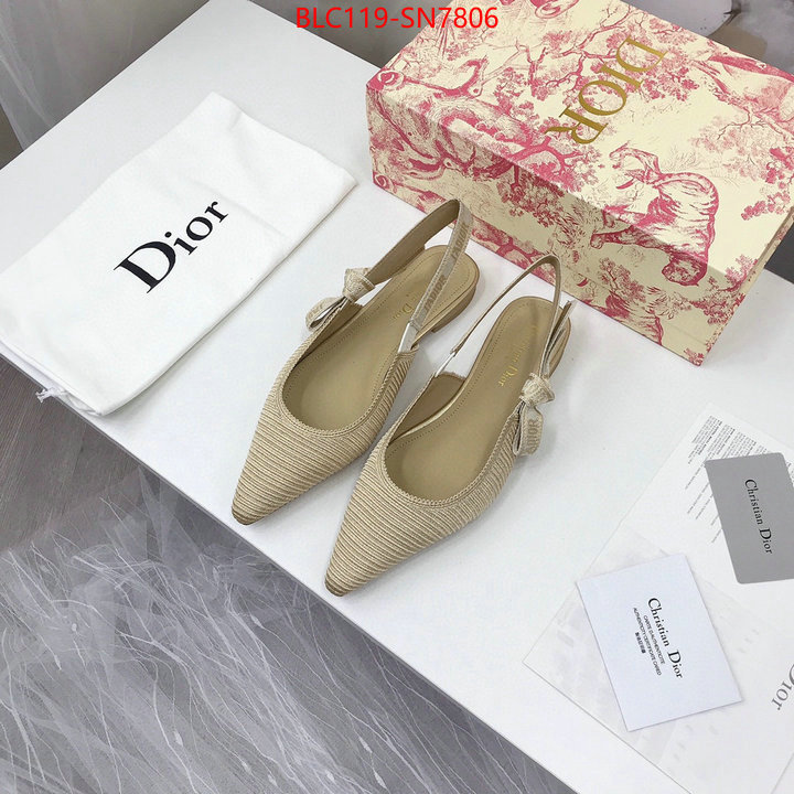 Women Shoes-Dior,how to find replica shop , ID: SN7806,$: 119USD