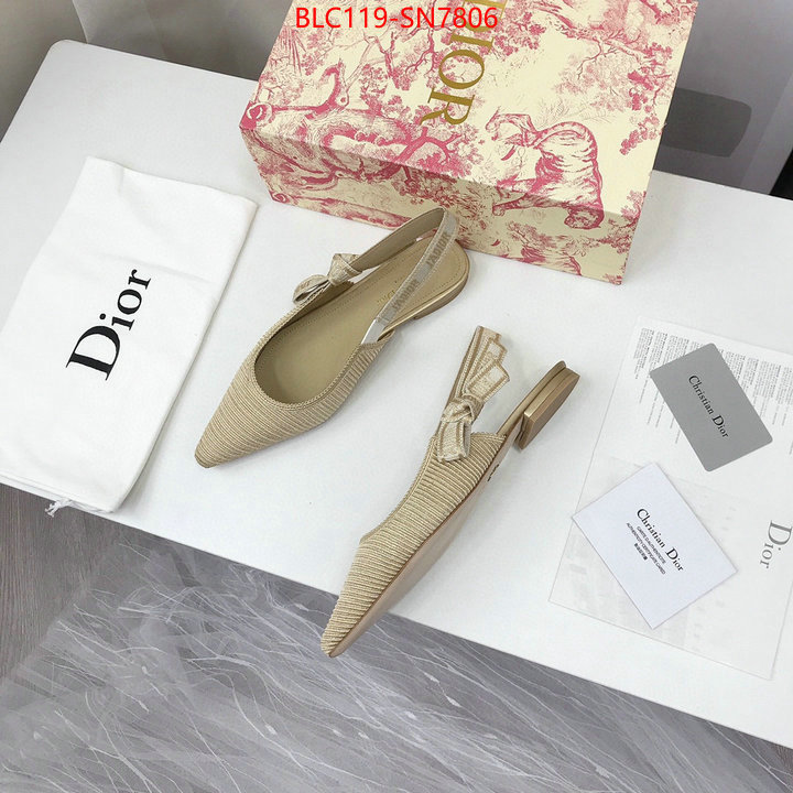 Women Shoes-Dior,how to find replica shop , ID: SN7806,$: 119USD