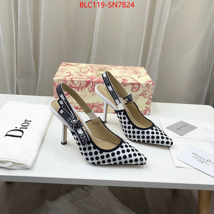 Women Shoes-Dior,online from china designer , ID: SN7824,$: 119USD