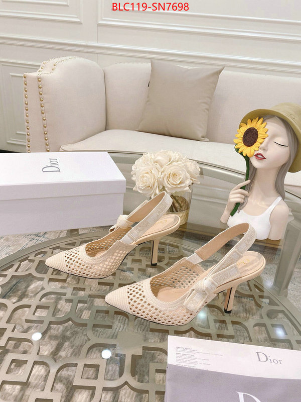 Women Shoes-Dior,how to buy replcia , ID: SN7698,$: 119USD