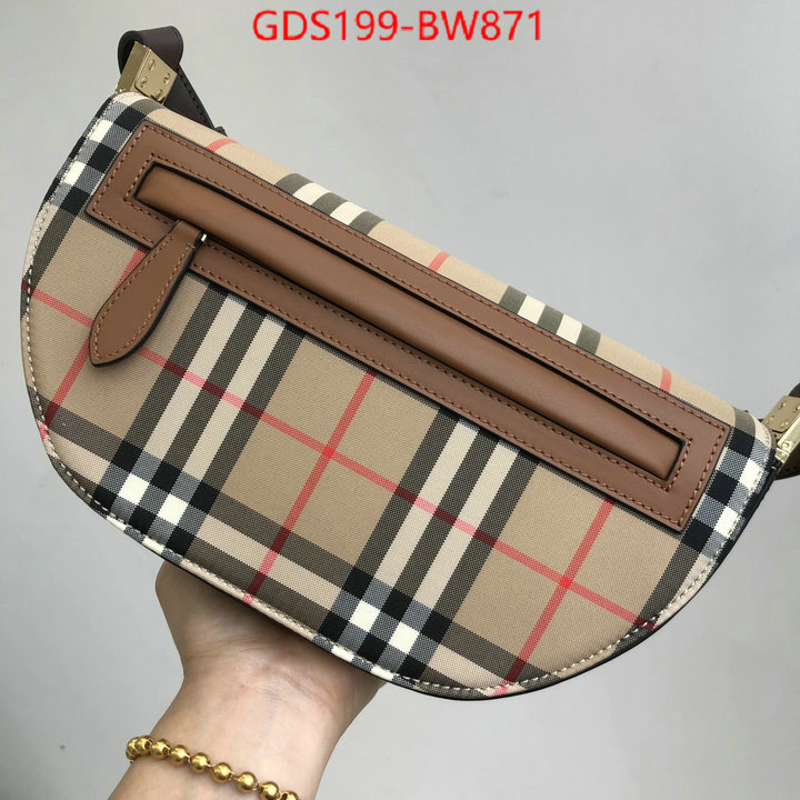 Burberry Bags(TOP)-Diagonal-,1:1 clone ,ID: BW871,$: 199USD