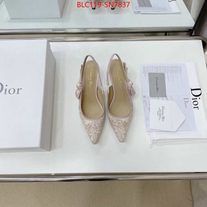 Women Shoes-Dior,replicas , ID: SN7837,$: 119USD