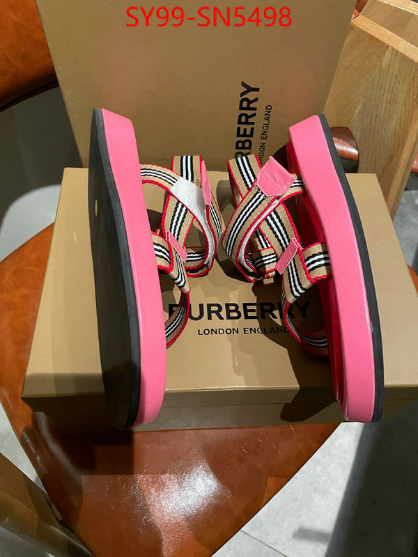 Women Shoes-Burberry,designer 7 star replica , ID: SN5498,$: 99USD