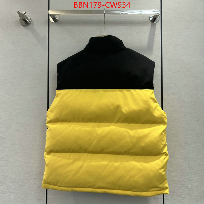 Down jacket Men-The North Face,quality aaaaa replica , ID: CW934,$: 179USD