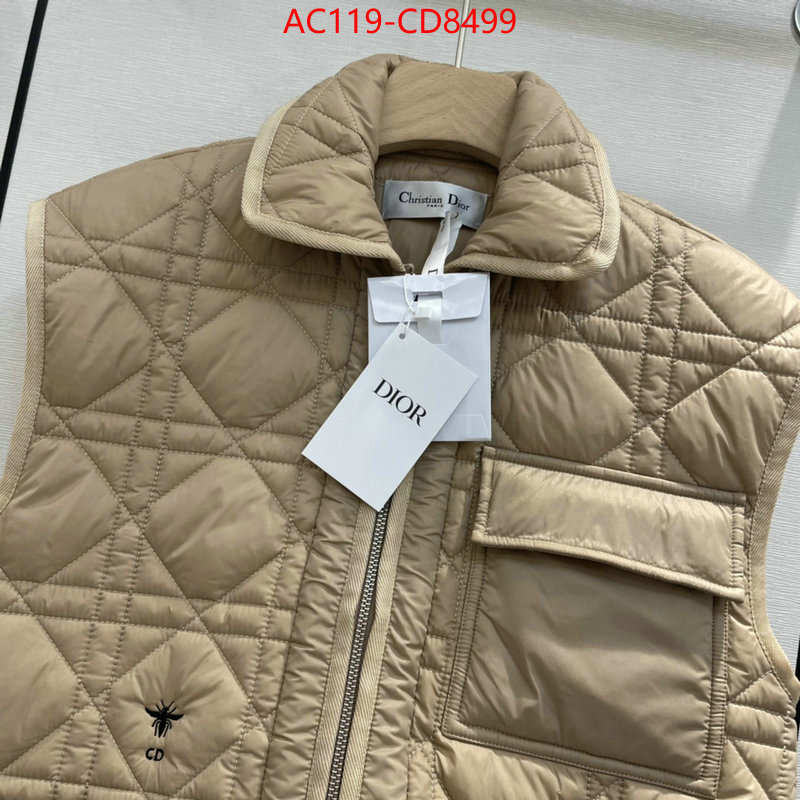 Down jacket Women-Dior,china sale , ID: CD8499,$: 119USD