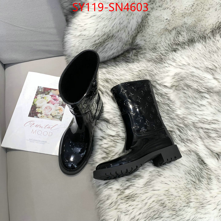 Women Shoes-LV,aaaaa class replica , ID: SN4603,$: 119USD