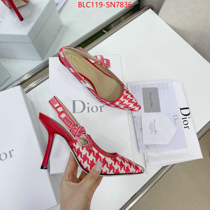 Women Shoes-Dior,what's the best to buy replica , ID: SN7836,$: 119USD