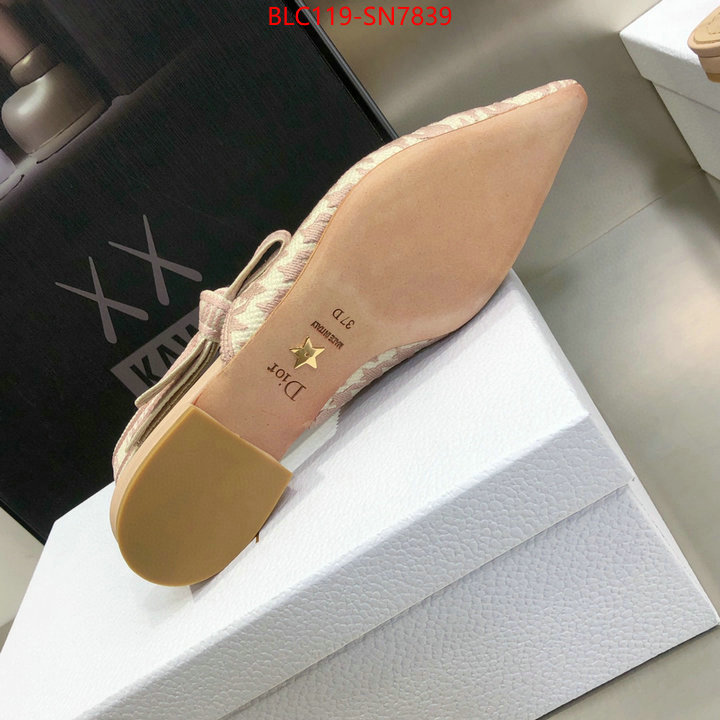 Women Shoes-Dior,how to start selling replica , ID: SN7839,$: 119USD