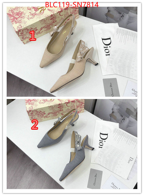 Women Shoes-Dior,how to find replica shop , ID: SN7814,$: 119USD