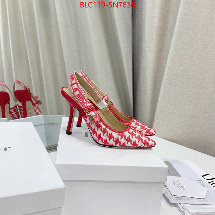 Women Shoes-Dior,what's the best to buy replica , ID: SN7836,$: 119USD