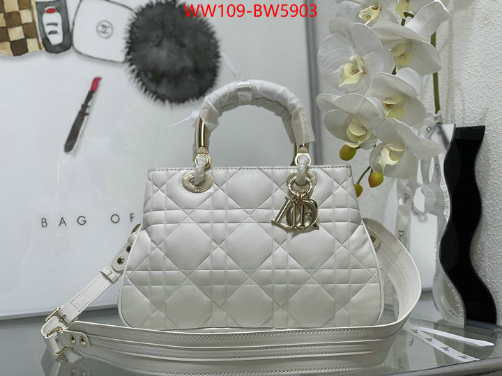 Dior Bags(4A)-Other Style-,ID: BW5903,$: 109USD