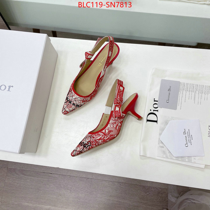 Women Shoes-Dior,designer wholesale replica , ID: SN7813,$: 119USD