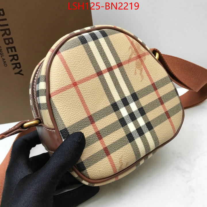 Burberry Bags(TOP)-Diagonal-,china sale ,ID: BN2219,$: 125USD