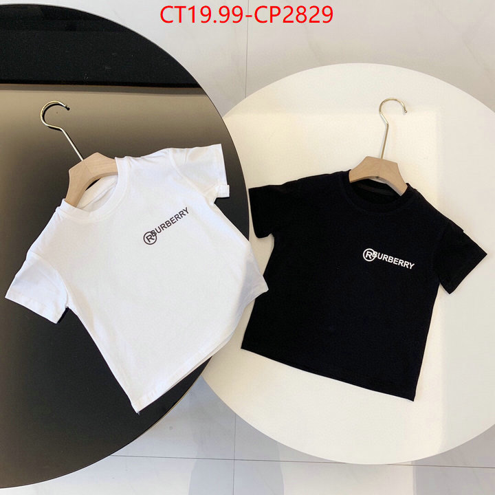 Kids clothing-Burberry,replica sale online , ID: CP2829,